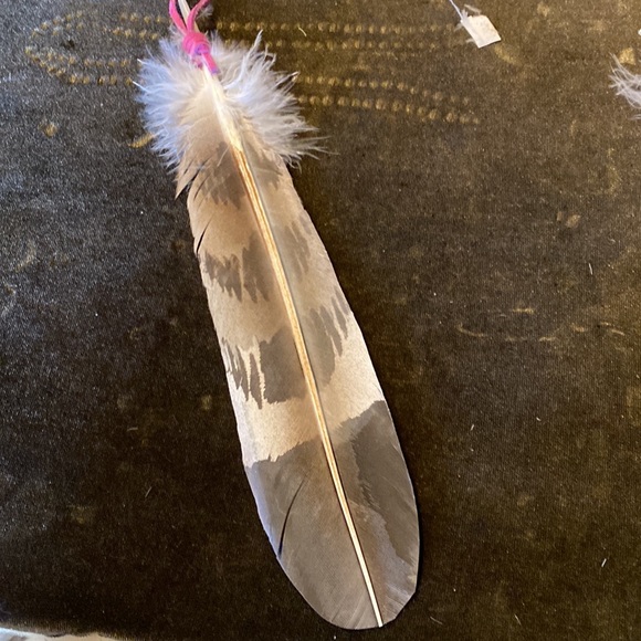 Air spray painted dove Cherokee feather with horse - Picture 3 of 3